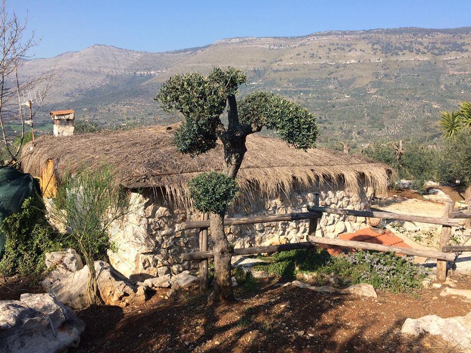 Le Capanne Di Villa Margherita Sonnino Exterior foto