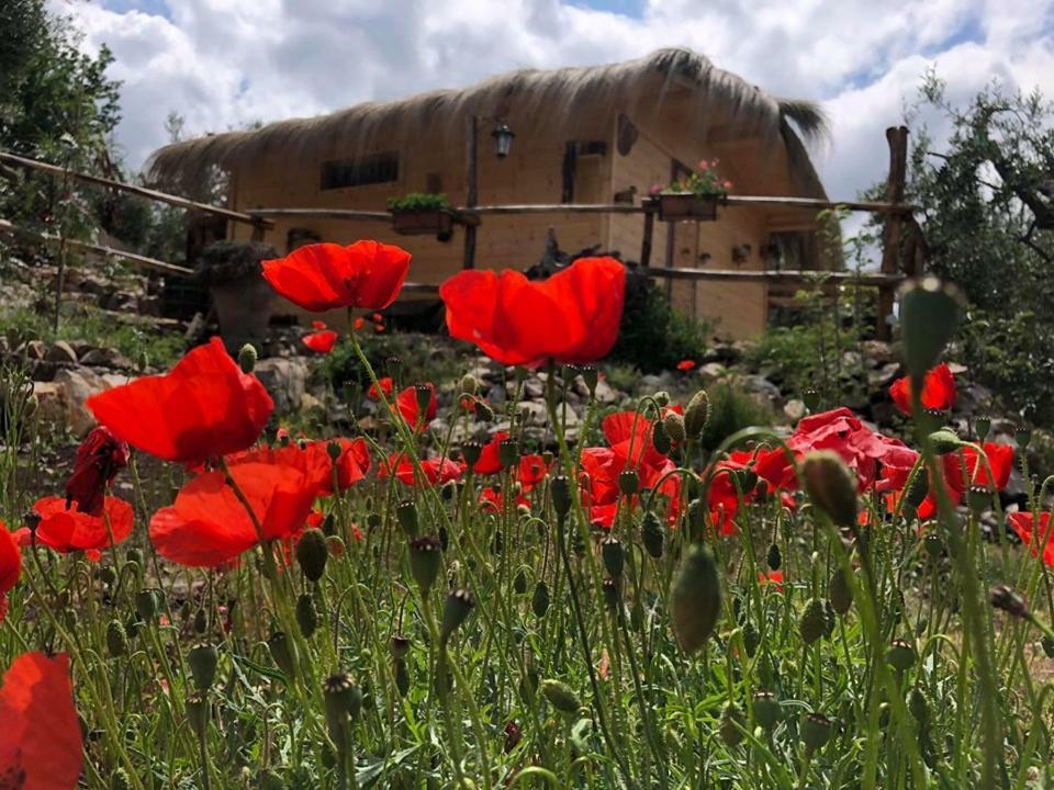 Le Capanne Di Villa Margherita Sonnino Exterior foto